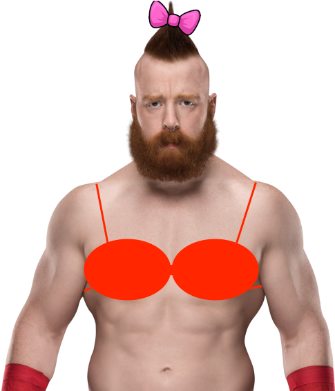 If You're Not Sure If Something Is Proboards Safe, - Wwe Sheamus (800x566), Png Download