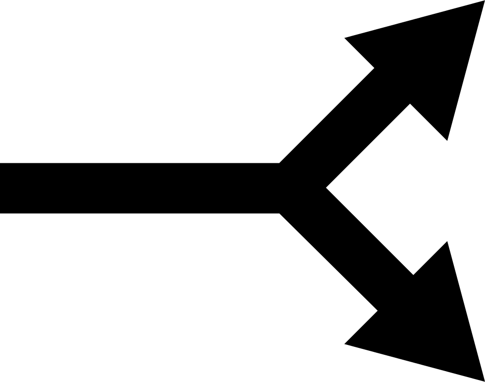 Straight Arrow With Bifurcation To Two Comments - Bifurcation Arrow (980x772), Png Download