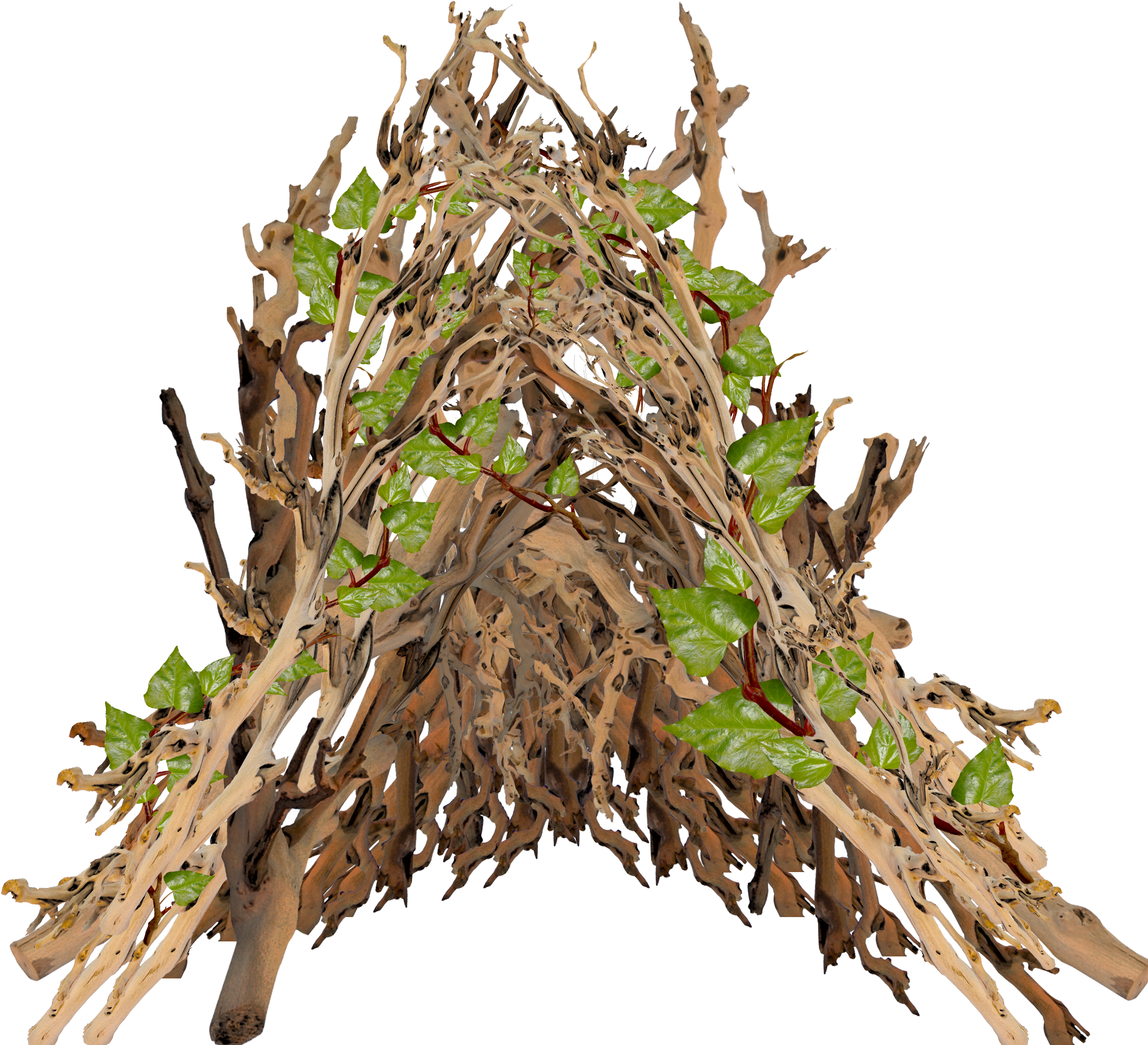 They Added Our Leaflets In To The Vines - Branch (2480x2339), Png Download