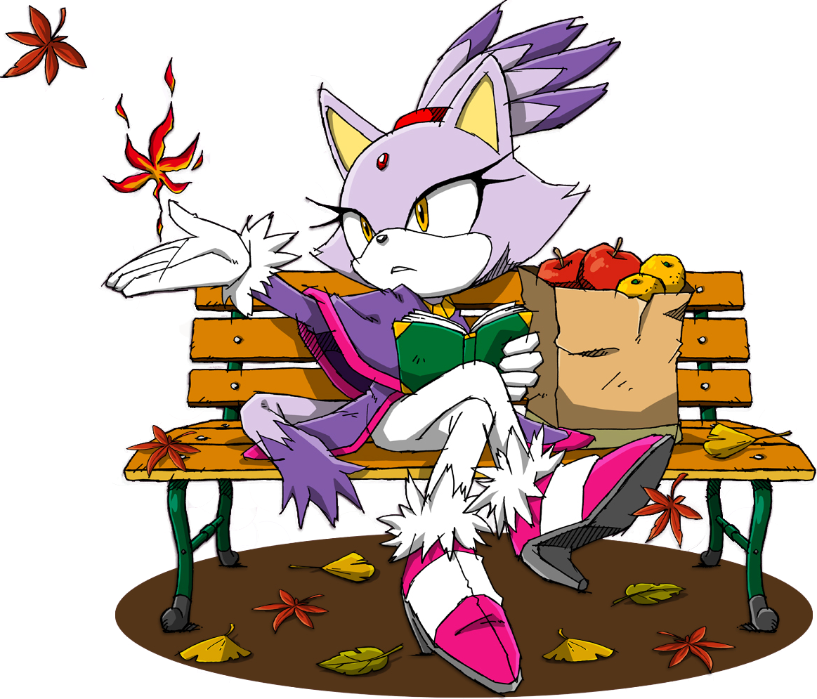 Blaze The Cat Images Blaze In The Fall Hd Wallpaper - Big The Cat And Blaze (1163x995), Png Download