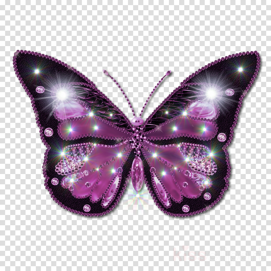 Beautiful Butterfly Png Clipart Butterfly Butterflies - Butterfly Png Hd (900x900), Png Download
