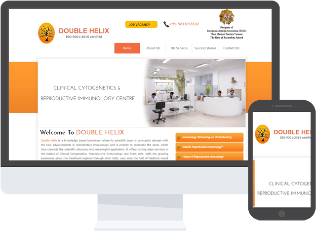 Jr Infotech-portfolio - Portable Network Graphics (700x492), Png Download