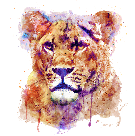 Bleed Area May Not Be Visible - Lioness Art (600x600), Png Download