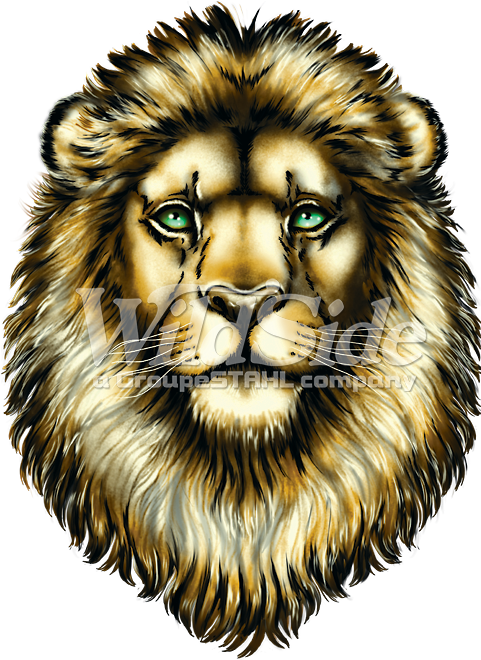 Lion Face - Big Face Roaring Lion Adult T-shirt The Mountain (675x675), Png Download