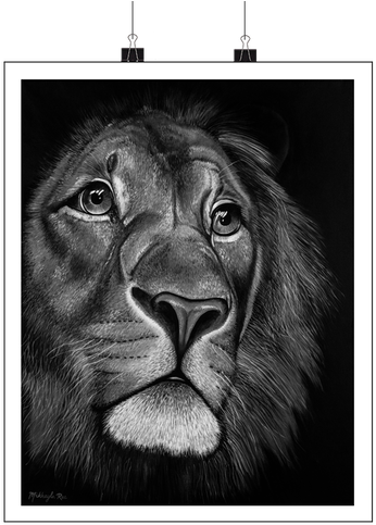 Black & White - Lion Face Painting On Canvas (500x500), Png Download