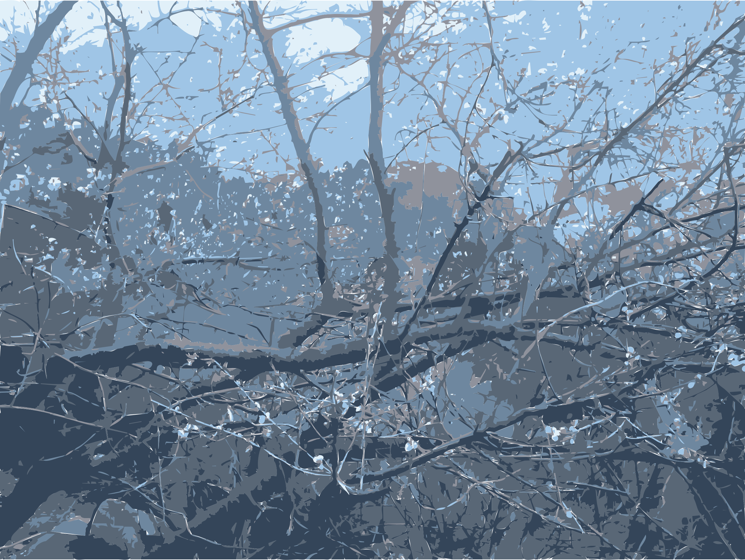 This Free Icons Png Design Of Nest Of Tree Branches (2400x1804), Png Download