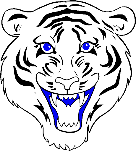 How To Draw A Tiger Face In A Few Easy Steps - Tiger Face Step By Step (678x600), Png Download