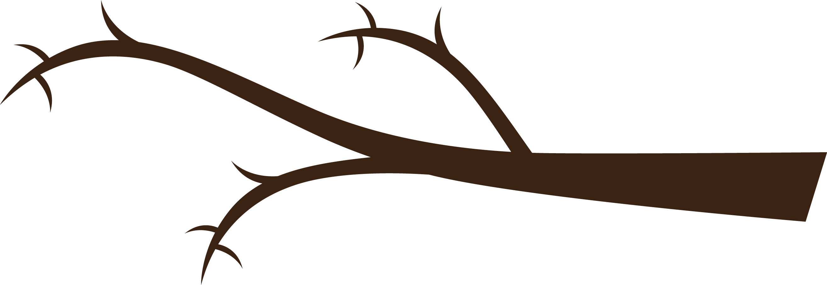 Tree Branch Png - Tree Branch Clipart Png (2628x908), Png Download