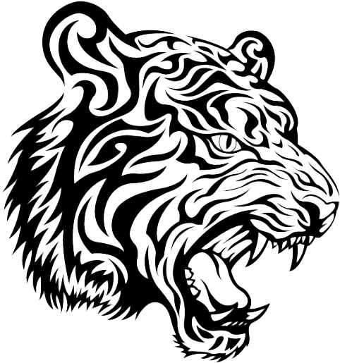 Tiger Face Png Photo - Tiger Svg (518x519), Png Download