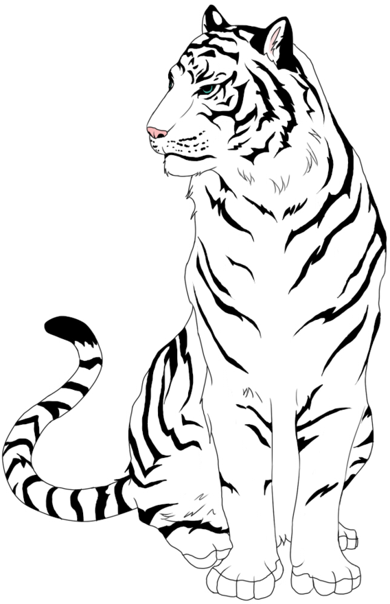 White Tiger Clipart Easy - Tiger Free Line Art (900x900), Png Download