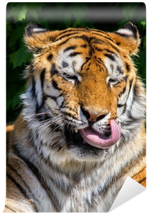 Stock Photography (400x400), Png Download