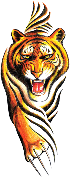 Tiger (250x597), Png Download