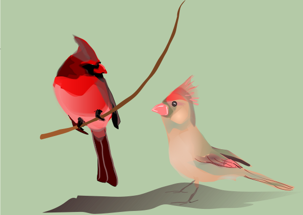 Birds In Tree Branches Of Clipart Png (600x425), Png Download
