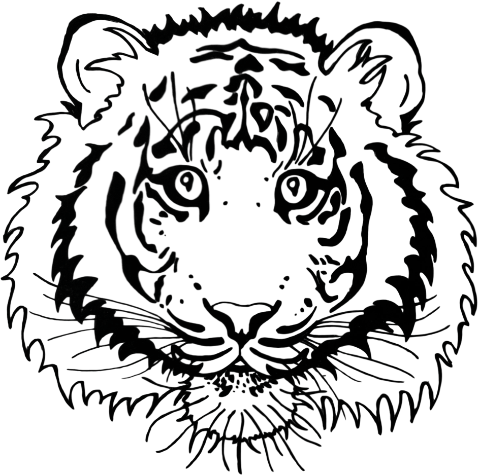 Tigerlines (1000x989), Png Download