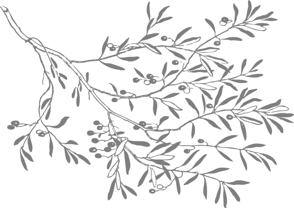 Png Library Stock Branch Clipart Black And White - Black And White Olives (600x424), Png Download