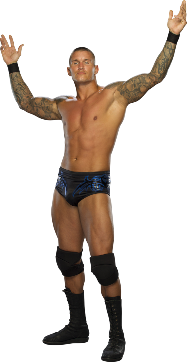 Randy Orton Png Transparent Image - Randy Orton Full Body (643x1241), Png Download