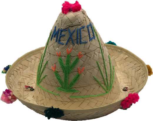 Small Embroided Mexican Sombrero - Sombrero (722x962), Png Download