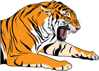 Cartoon Tiger Png Vectors Psd And Clipart For Free - Comic Cartoon Shirt Tiger Lion Wildcat Animal (500x353), Png Download