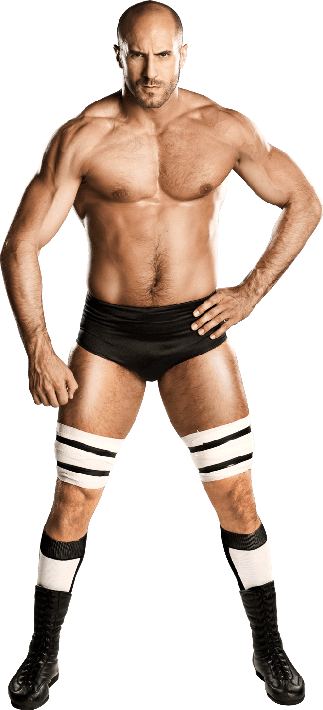 Click To Enlarge - Png Wwe 2k Cesaro (665x1462), Png Download