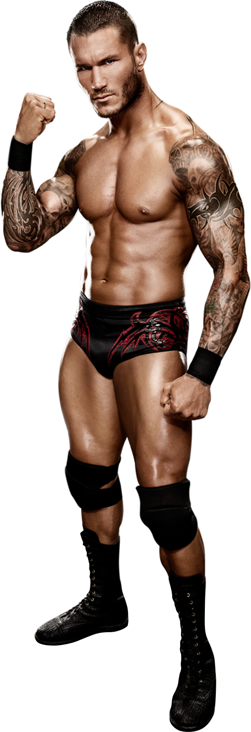 Randy Orton Wwe - Wwe Randy Orton Full (506x1474), Png Download