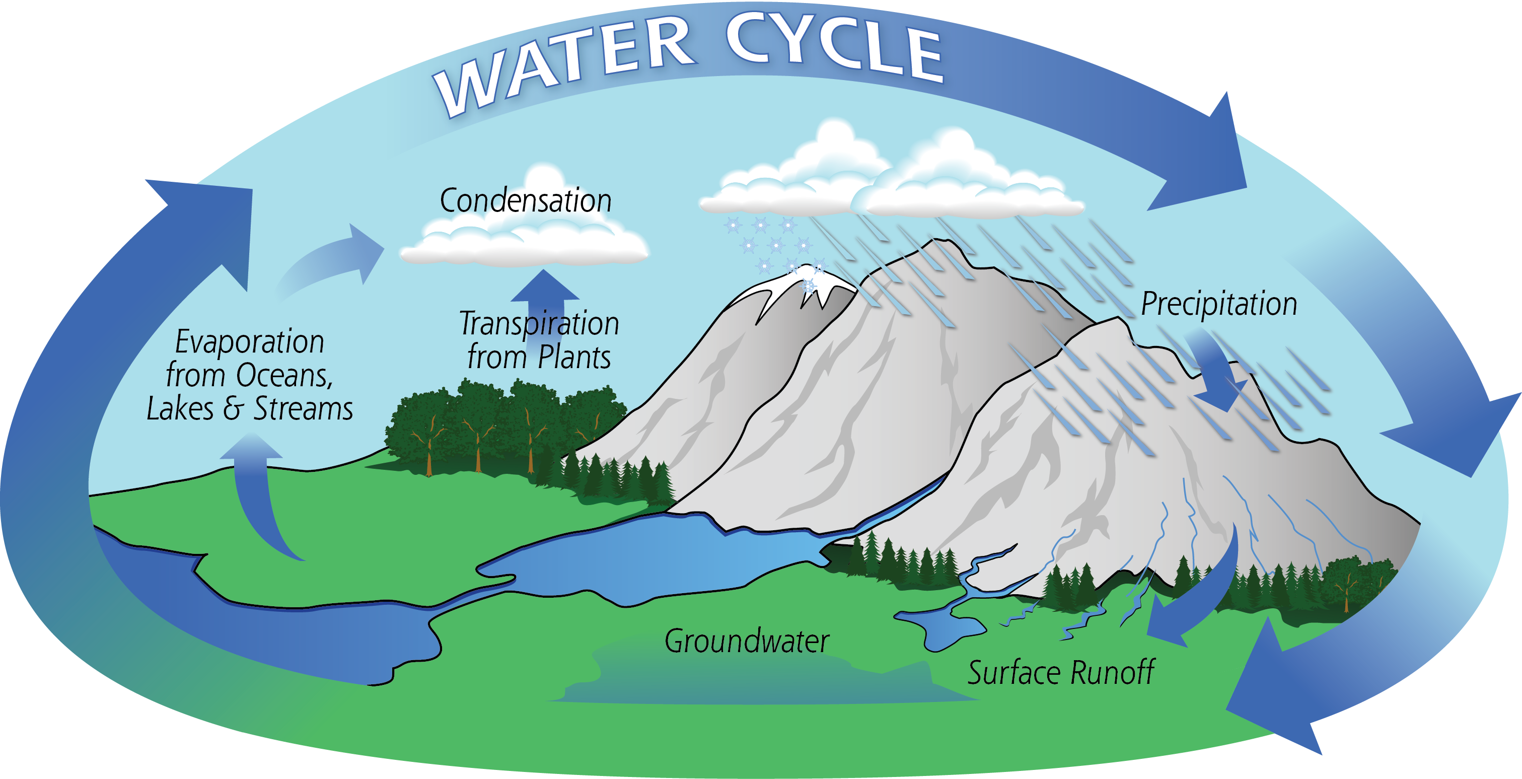 Diagram Of The Water Cycle Showing Evaporation, Condensation, - Water Cycle Process (3023x1547), Png Download