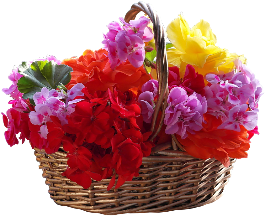 Basket, Bouquet, Flower, Easter, Ornament, Petal - Basket Of Flowers Png (877x720), Png Download