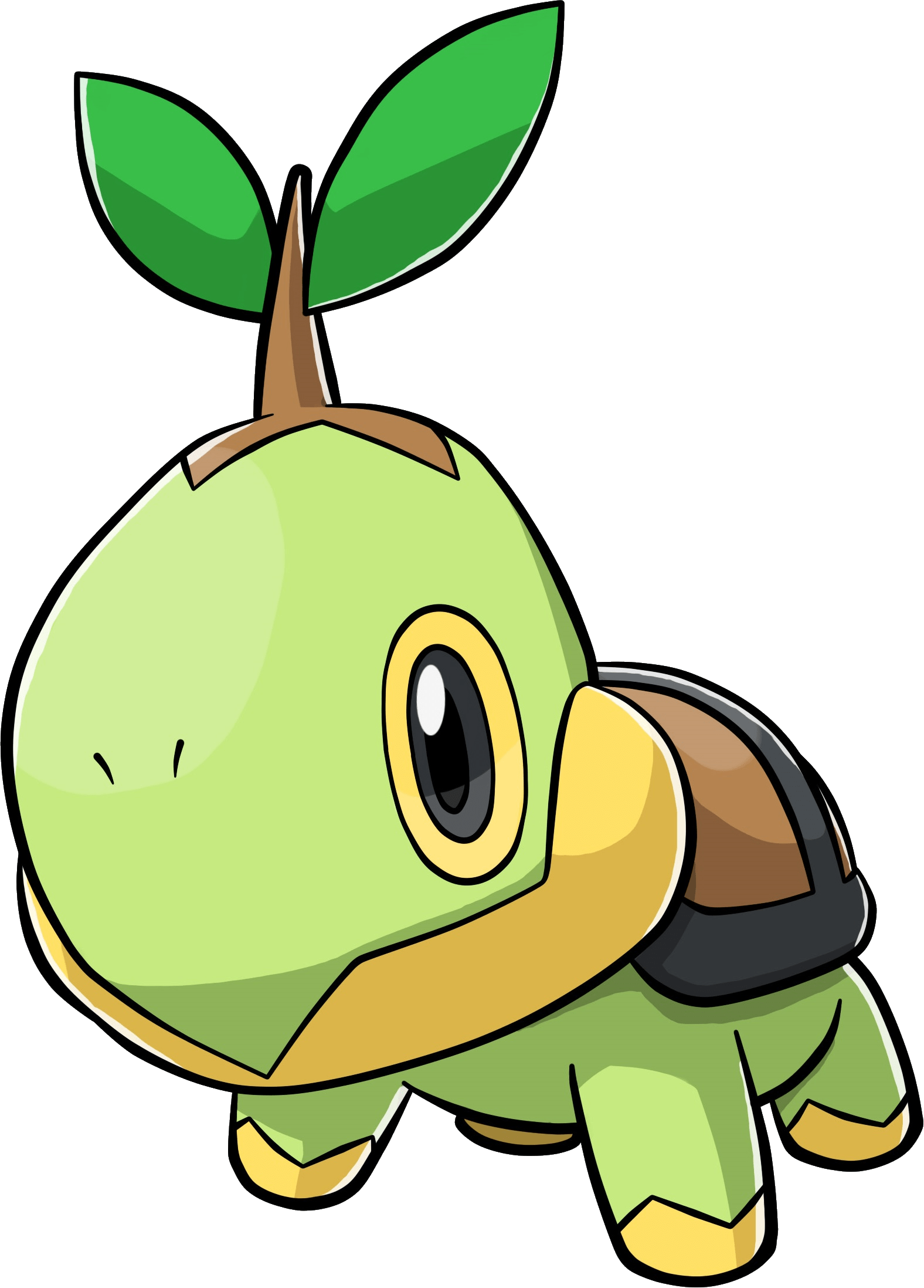 Turtwig Pokemon Transparent Png - Pokemon Turtwig Evolution (1576x2195), Png Download