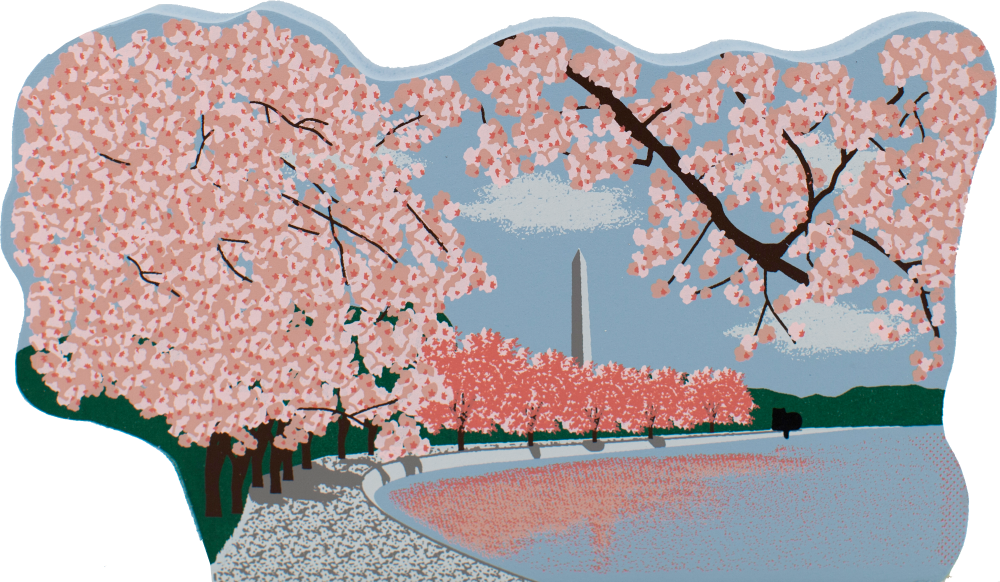 Cherry Blossom (1000x582), Png Download