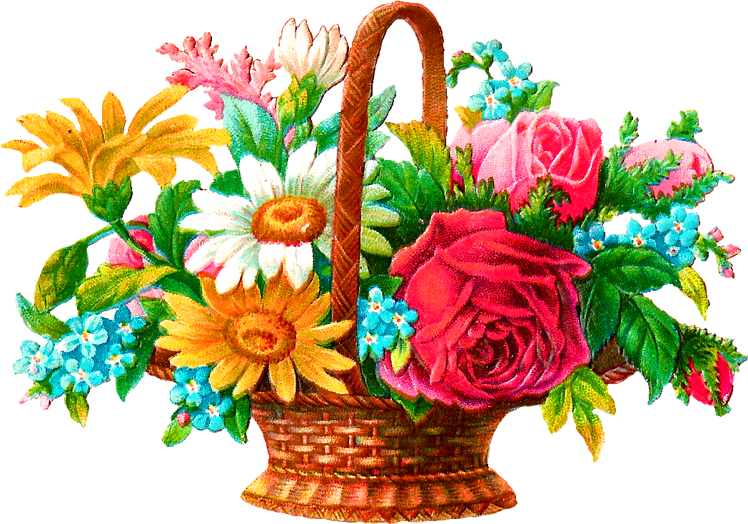 download flower basket png clip freeuse bouquet png image with no background pngkey com download flower basket png clip freeuse