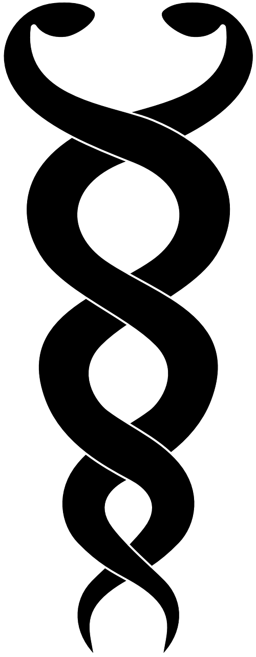 Vector Graphics, - Greek Mythology Medusa Symbol (640x1280), Png Download