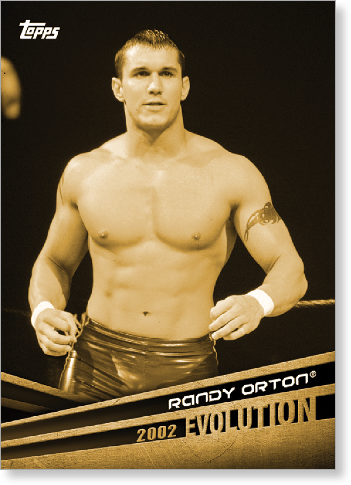 Randy Orton Png (2000x2000), Png Download