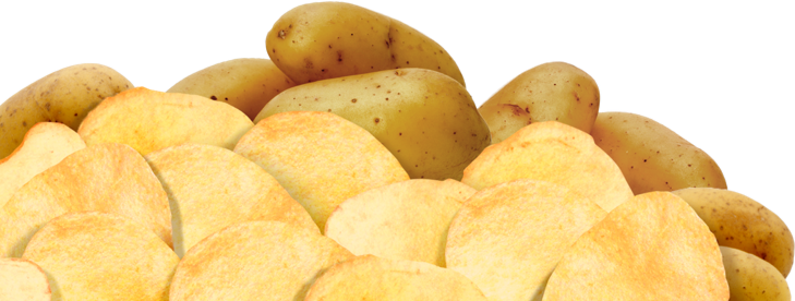 Potato Chips - Russet Burbank Potato (729x276), Png Download
