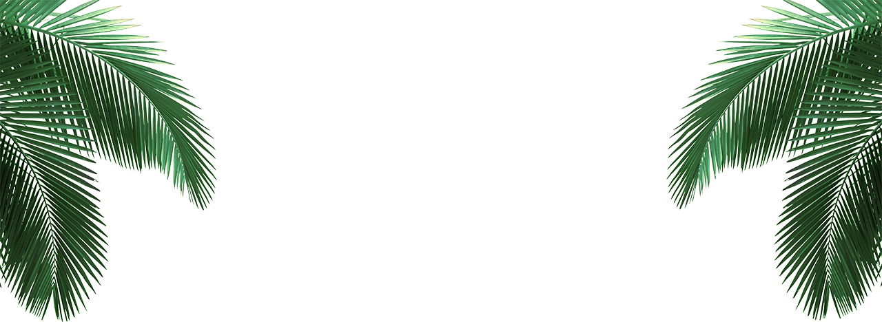 Celebrate Christmas With Us - Life By Design 9781285130903 (paperback) (1280x468), Png Download