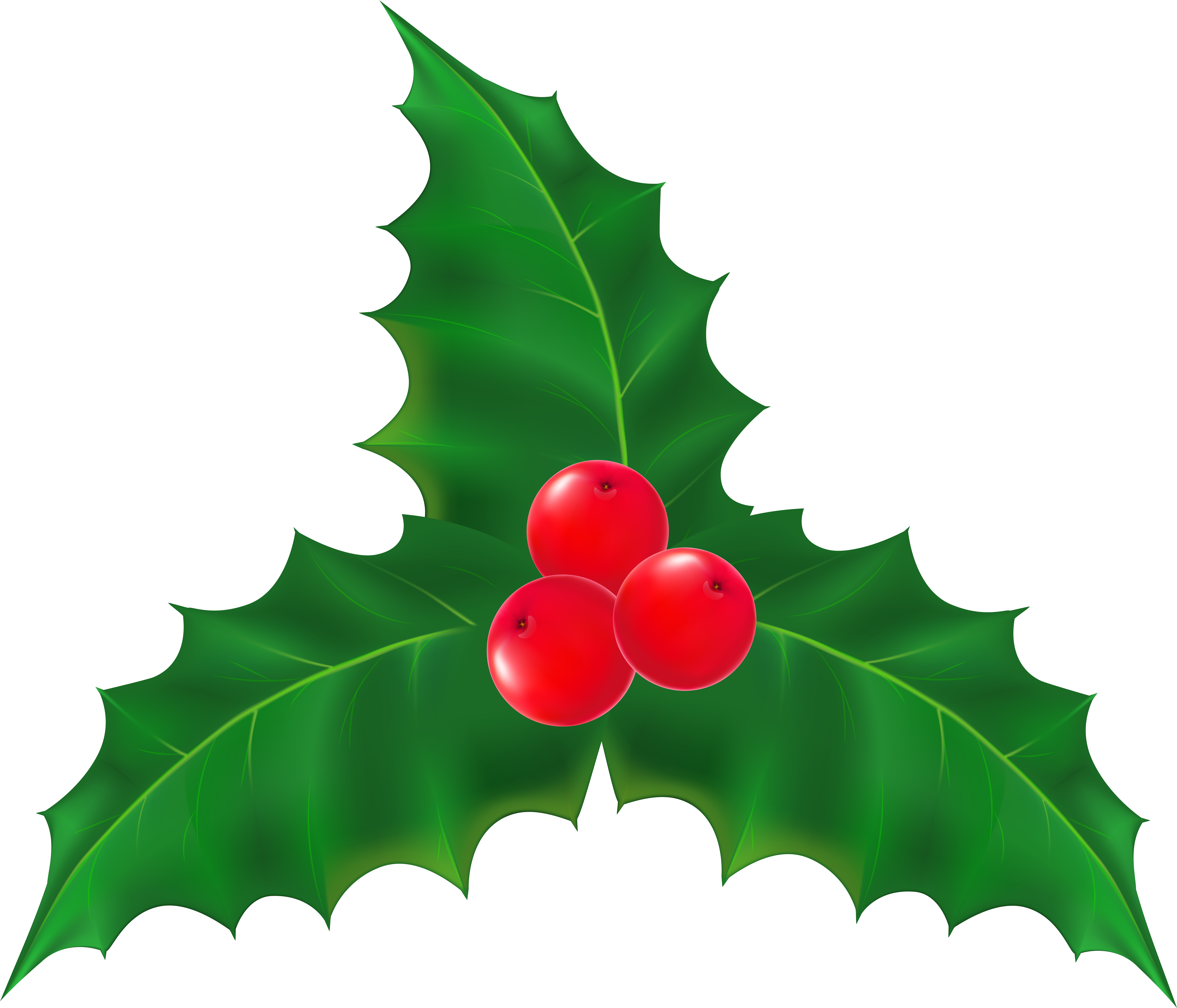 Image Library Christmas Mistletoe Transparent Clip (8000x6852), Png Download