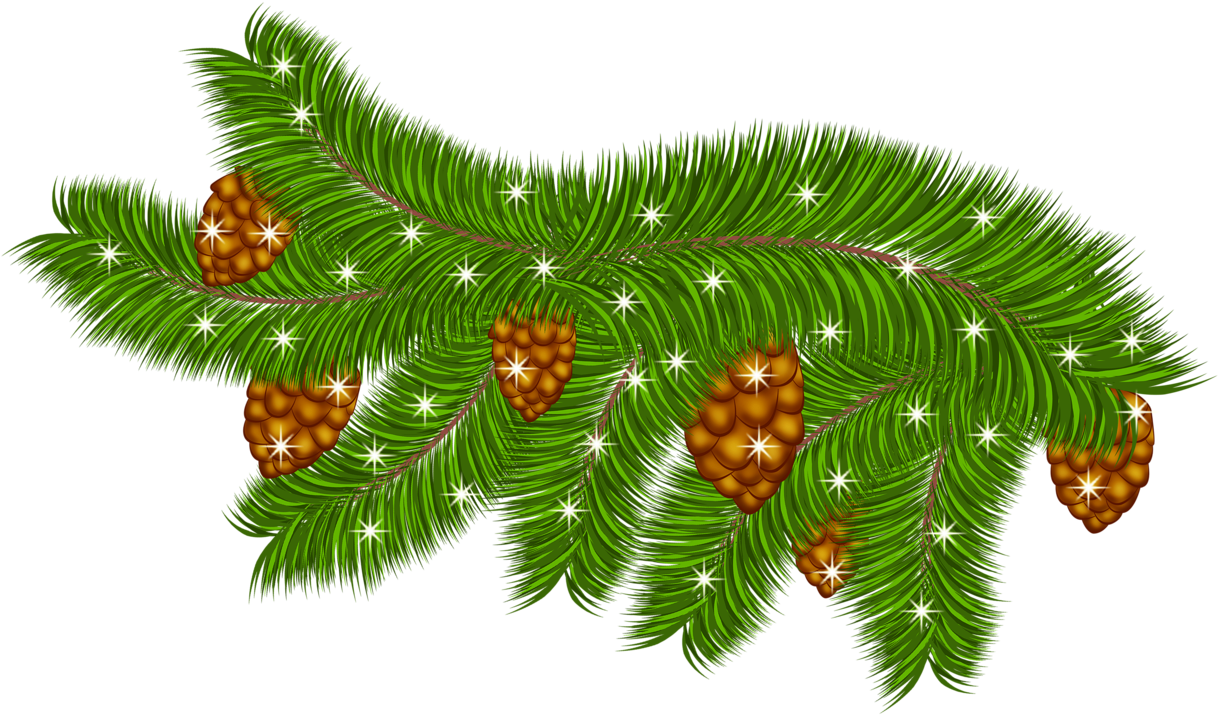 Transparent Pine Branch With Pine Cones Png Clipart (1226x746), Png Download