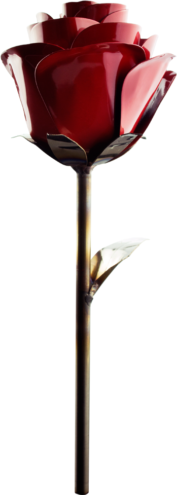 Stainless Rose Fire Engine Red - Stainless Steel (1024x1024), Png Download