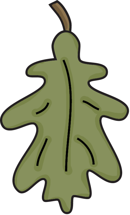 Leaf - Tree (450x742), Png Download