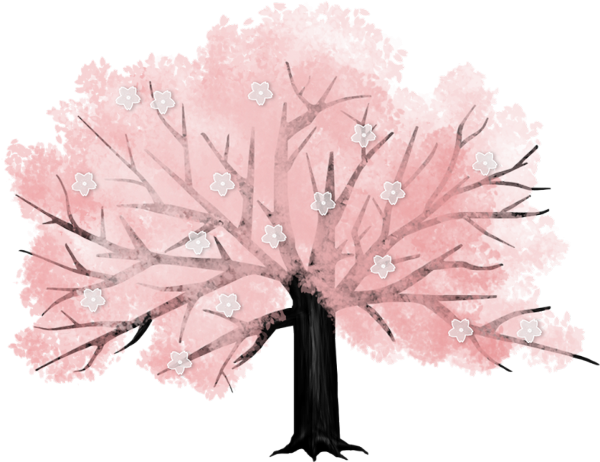 Arbre - Tree - Feuille Etc - - Cartoon Cherry Blossom Tree Transparent (600x462), Png Download
