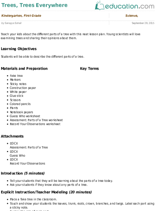 Trees, Trees Everywhere - Google Analytics Url Builder (557x731), Png Download