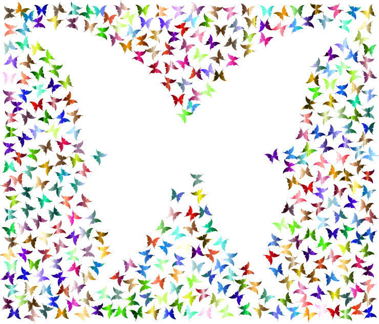 Medium Image - Butterfly Colorful Frame Png (740x634), Png Download