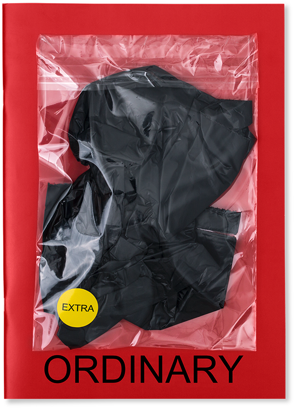 *sold Out* - Ordinary Magazine (773x1000), Png Download