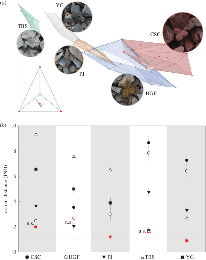 Divergence In Cryptic Leaf Colour And Background Matching - Color (850x1073), Png Download