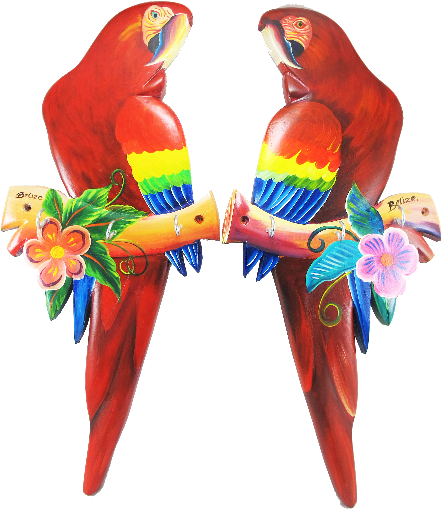 Scarlet Macaw (567x528), Png Download