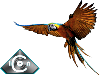Psd Detail - Blue And Gold Macaw Png (400x300), Png Download