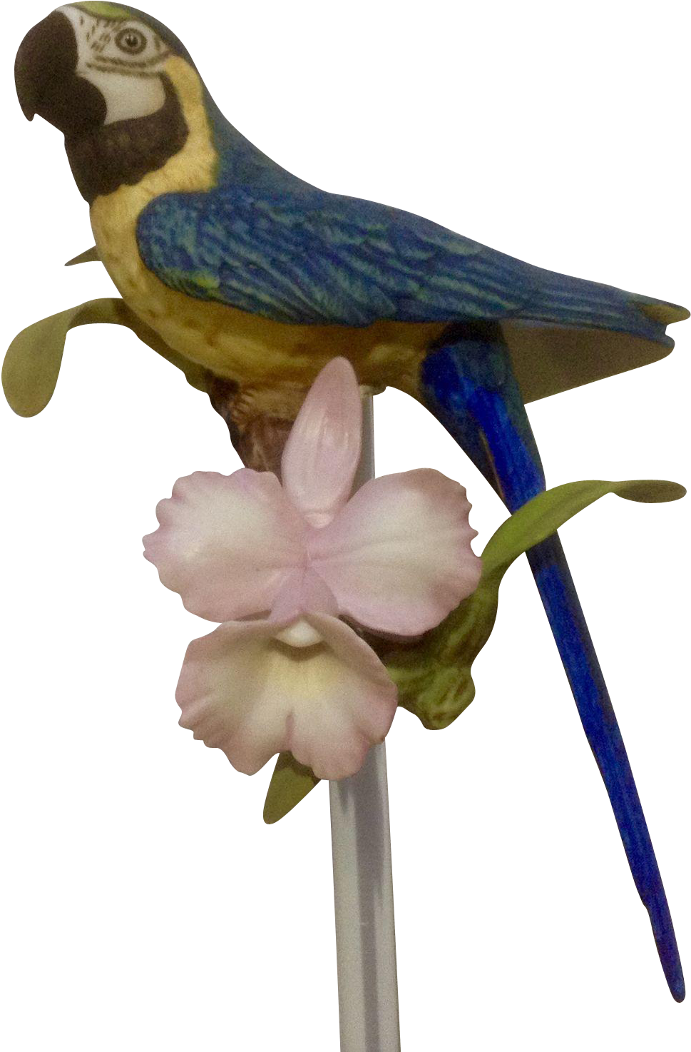 1987 Franklin Mint, Tropical Birds And Flowers Series, - Figurine (1473x1473), Png Download