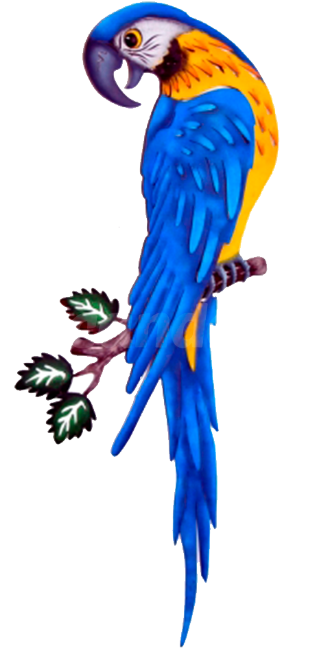 Dcorative Blue Macaw - Parrot (1000x1000), Png Download