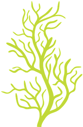 Clip Free Library Bubble Guppies Minus Crafts Pinterest - Bubble Guppies Seaweed (286x438), Png Download