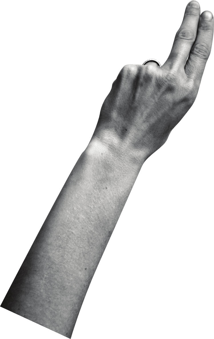 16 Feb 2009 - Wrist (750x1187), Png Download