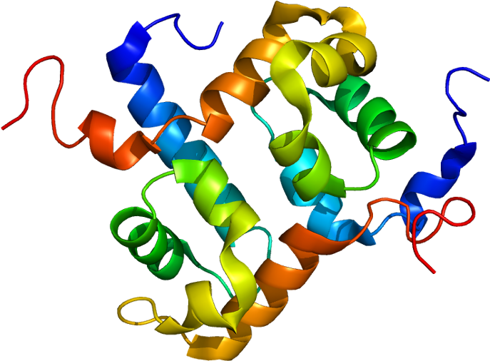 Double Helix Png (736x555), Png Download