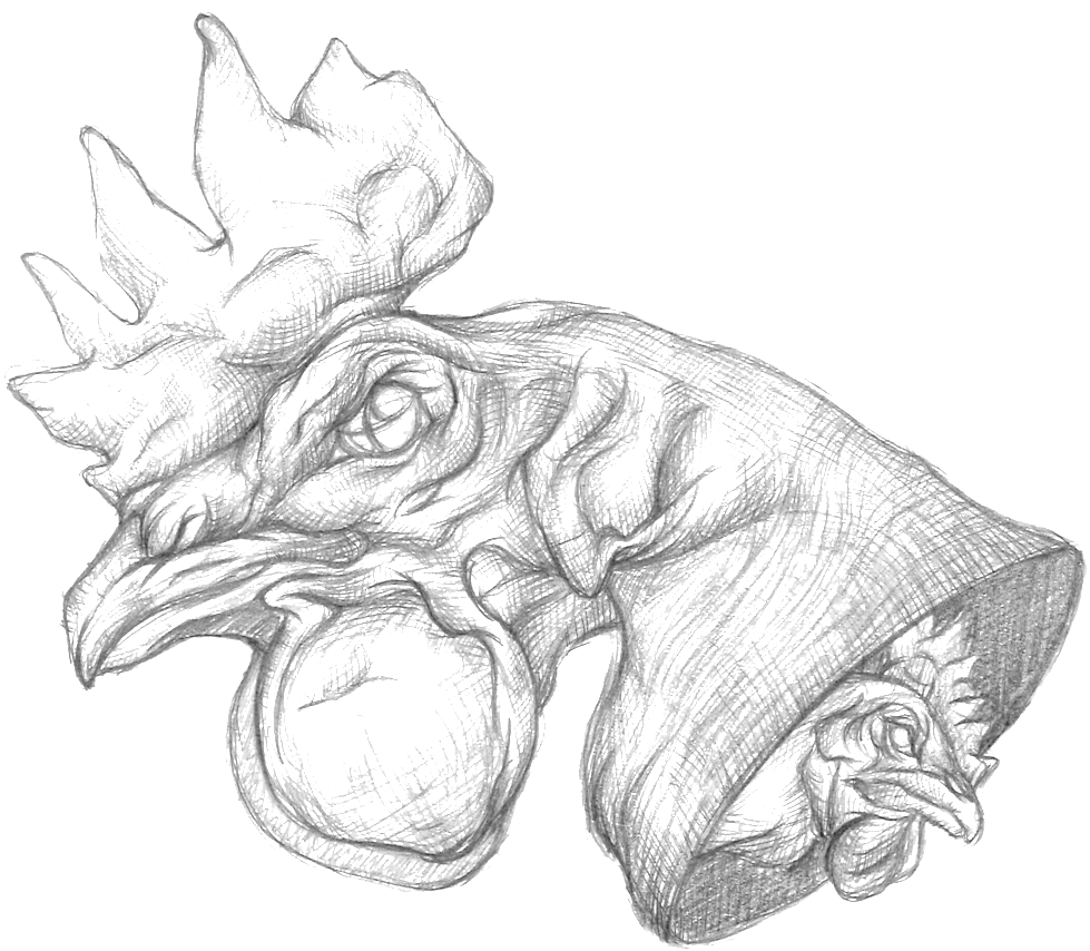 Chicken Head Bw - Chicken (1000x873), Png Download